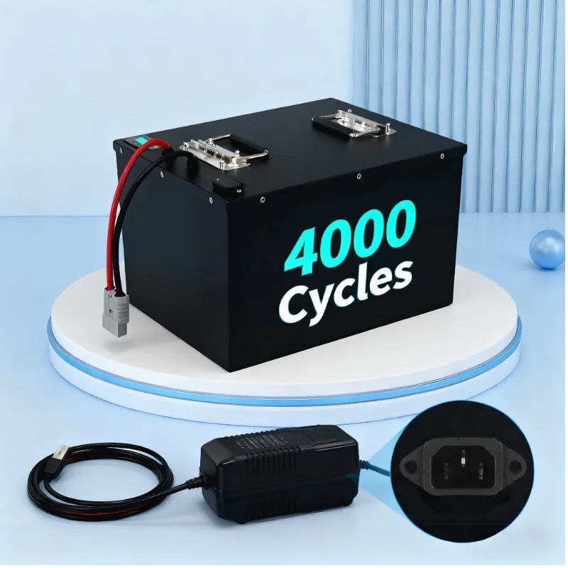LiFePO4 Battery Pack Built-in  - Lifepo4 72V 100Ah Battery Pack Ev 评论和价格